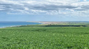 Gregor's Cottage: Best coastal view, luxury inside - Image 2