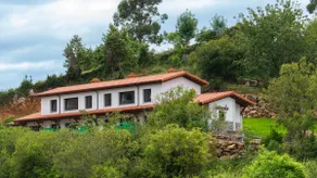 Apartamentos Dog-Friendly - Image 4