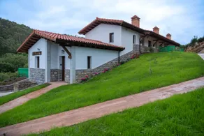 Apartamentos Dog-Friendly - Image 2