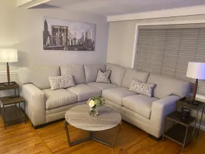 Williamsville Village Modern Farmhouse - Image 2