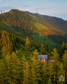 Waldhütte KOSAK | Secluded location on the Alm - Image 3