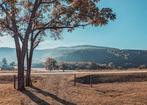 Elk View Cabin - Image 2