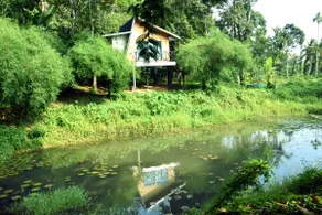 Ranger's Chalet - An Air-conditioned Cabin - Image 2