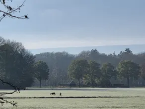 Het Bakhuisje - Image 3