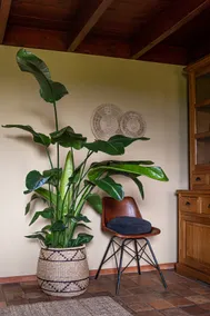 Het Bakhuisje - Image 4