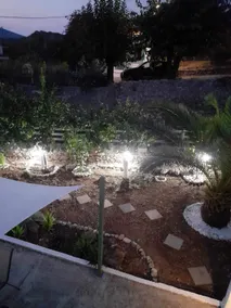 The Garden - Image 4