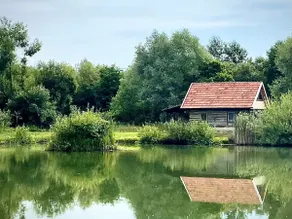 Country House - Image 3