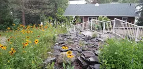 Wild Willy's Way - Image 5