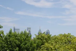 Peaceful Zen Getaway in the City - Image 3