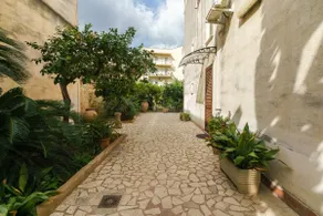 Antonella's Garden - Image 4