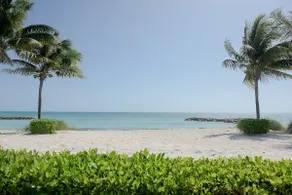 Rêve des Bahamas - Vacances de luxe à la plage - Image 4