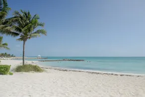 Rêve des Bahamas - Vacances de luxe à la plage - Image 3