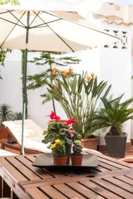 Botanical terrace meets vibrant city center - Image 4