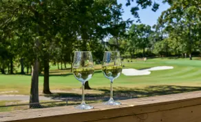 SDC Open in Jan. Tee Time Fairway View and Cafebar - Image 2