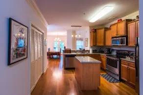 Low Country Dawg House Stunning Walking Trails! - Image 4