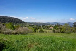 Ruralia Rural Apartment Celada 2 Asturias AR873 - Image 2
