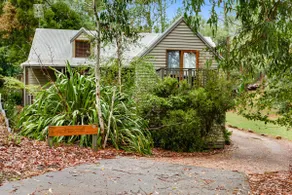 King Parrot Retreat - Image 2