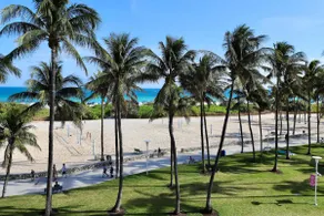 Ocean Drive South Miami Beach - Image 3