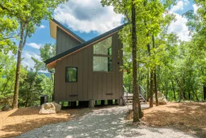 The Grey Horse - In the Trees Nature Resort - Image 2