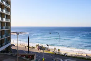 The Cove - Image 3