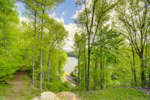 Location de vacances à Bryson City - Jacuzzi & vues sur le lac - Image 2