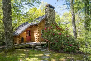 Great Escape Cabin · Great Escape Cabin in Connestee Falls - Image 2