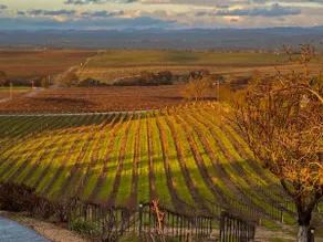 Hilltop Vineyard Estate w/360 Views, Pool & Hot - Image 2