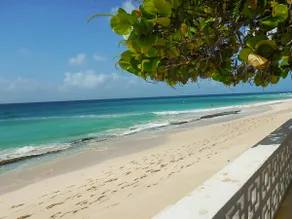 Classic Beachfront Home - Arcadia - Image 2