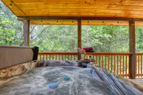 Pool+Hot Tub/Game Room+Theater/Arcade Games/Crib - Image 3