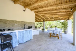 Foxi lioni - Image 5