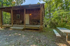 Cabin #9 - Mattie Moo - Image 3