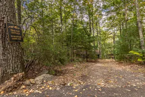 Bear Paw Cottage - Image 2