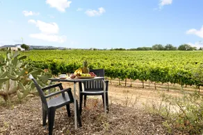 Casa Syrah – con jacuzzi privata, lounge e piscina condivisa - Image 2