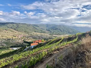 Quinta da Penada - Vineyard & Winery - Suite 1 - Image 3