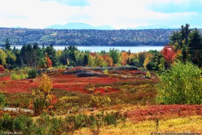 Wolfe's Way Priv. Beach, Waterfront recreation, Swim & Acadia! - Image 4