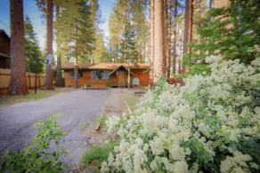 Whispering Pines Cabin - Family and pet Friendly Abode - Image 2