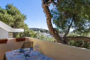 Bouganville - Image 2