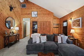 Basecamp - Cabin, Private Fenced Beauty! Detached Game Room, Darts, Basketball, Foosball - Image 4