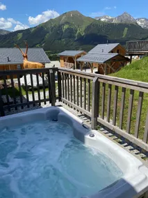 Premium Chalet # 58 with Sauna & Whirlpool - Image 5