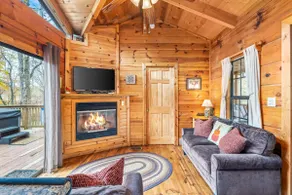 Sleepy Creek -hot tub, pets, grill, fire pit, wifi - Image 4
