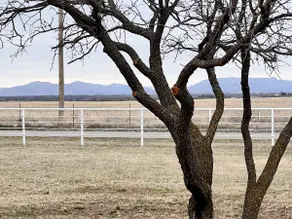 Texoma Bison Ranch - Sleeps 14 - Image 4