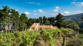 La Collina dei Nebrodi - Image 2