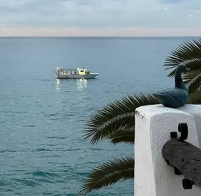 Sea breeze - Image 3