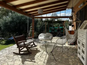 House of Olives - Image 3