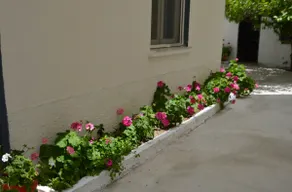 Chrismma 1-Bed Apt with Private Yard & Parking - Image 5