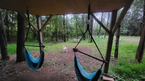 Tiny Treehouse Cabin | Bluff Woodlands #2 - Image 5