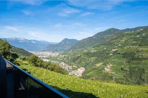 Falsers Mountain Lodge - Image 2