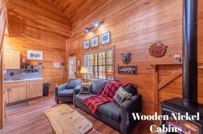 Black Bear Cabin-onsite \"bear hunt\" & playground, game room, kitchen AC & heat - Image 2