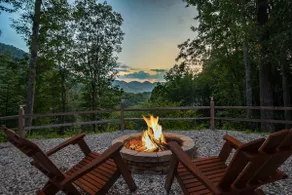 Born to Be Wild | Romantic Escape Near NOC - Image 3