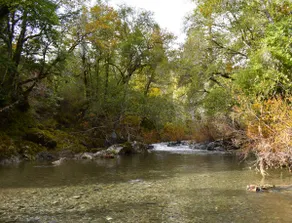 Caz-A-Verde - Creek Access, Hot Tub, Dog Friendly - Image 5